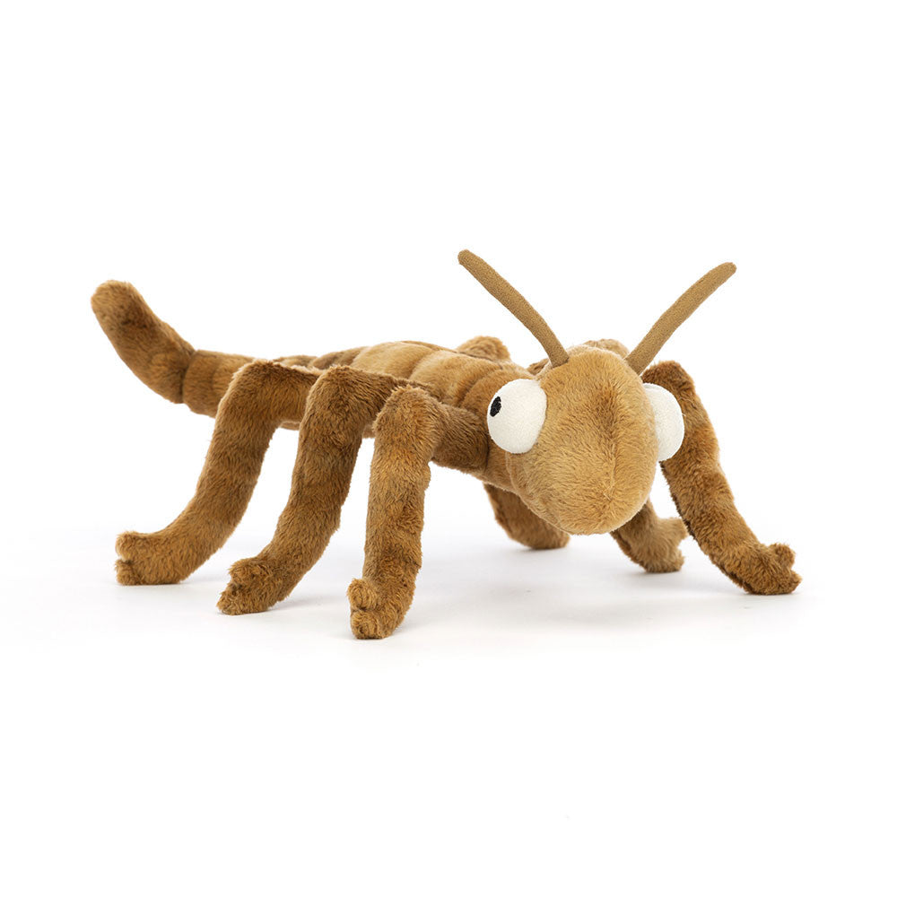 Stanley Stick Insect – AH Baby Co